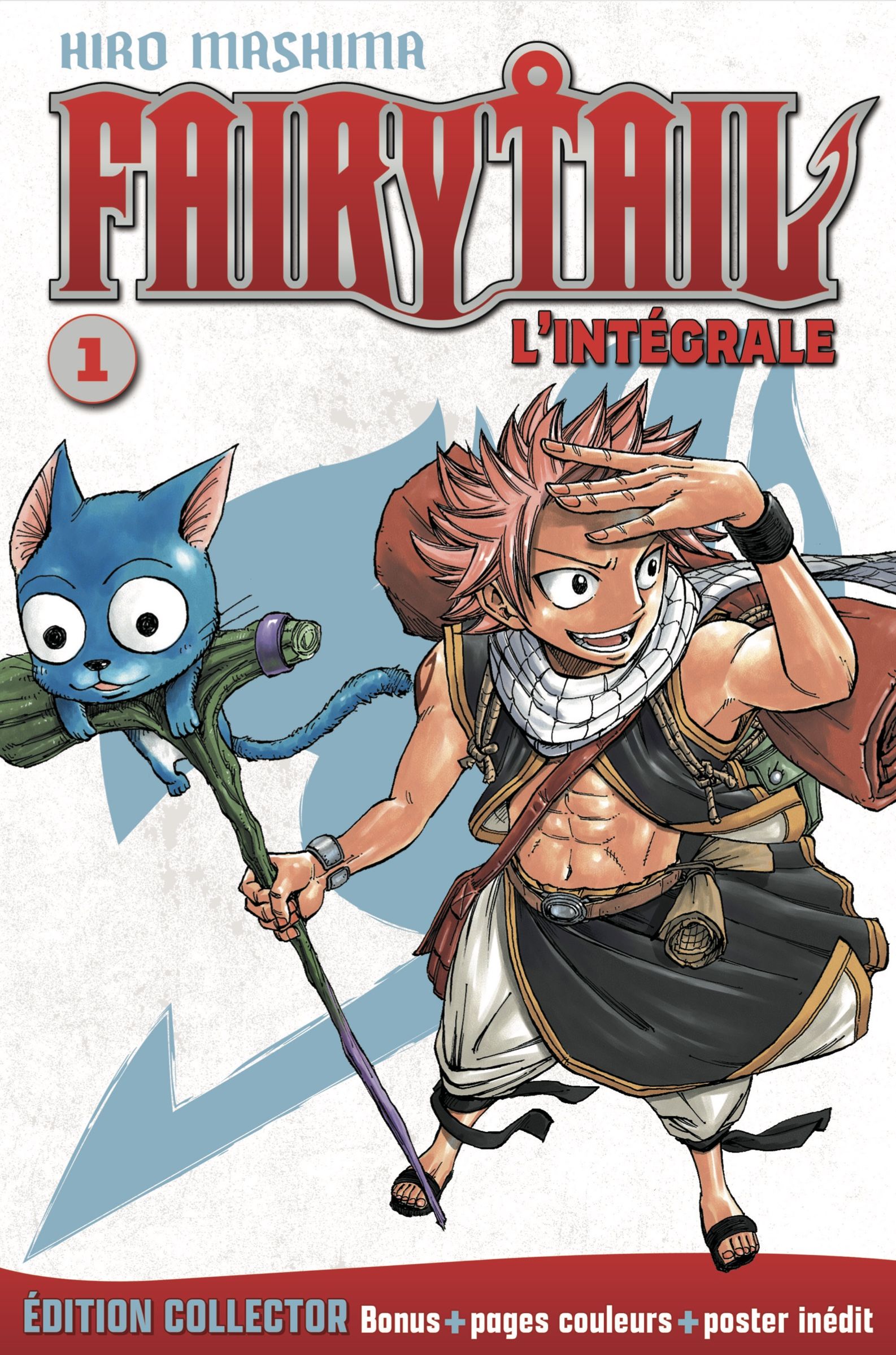 Fairy Tail (Grand format)