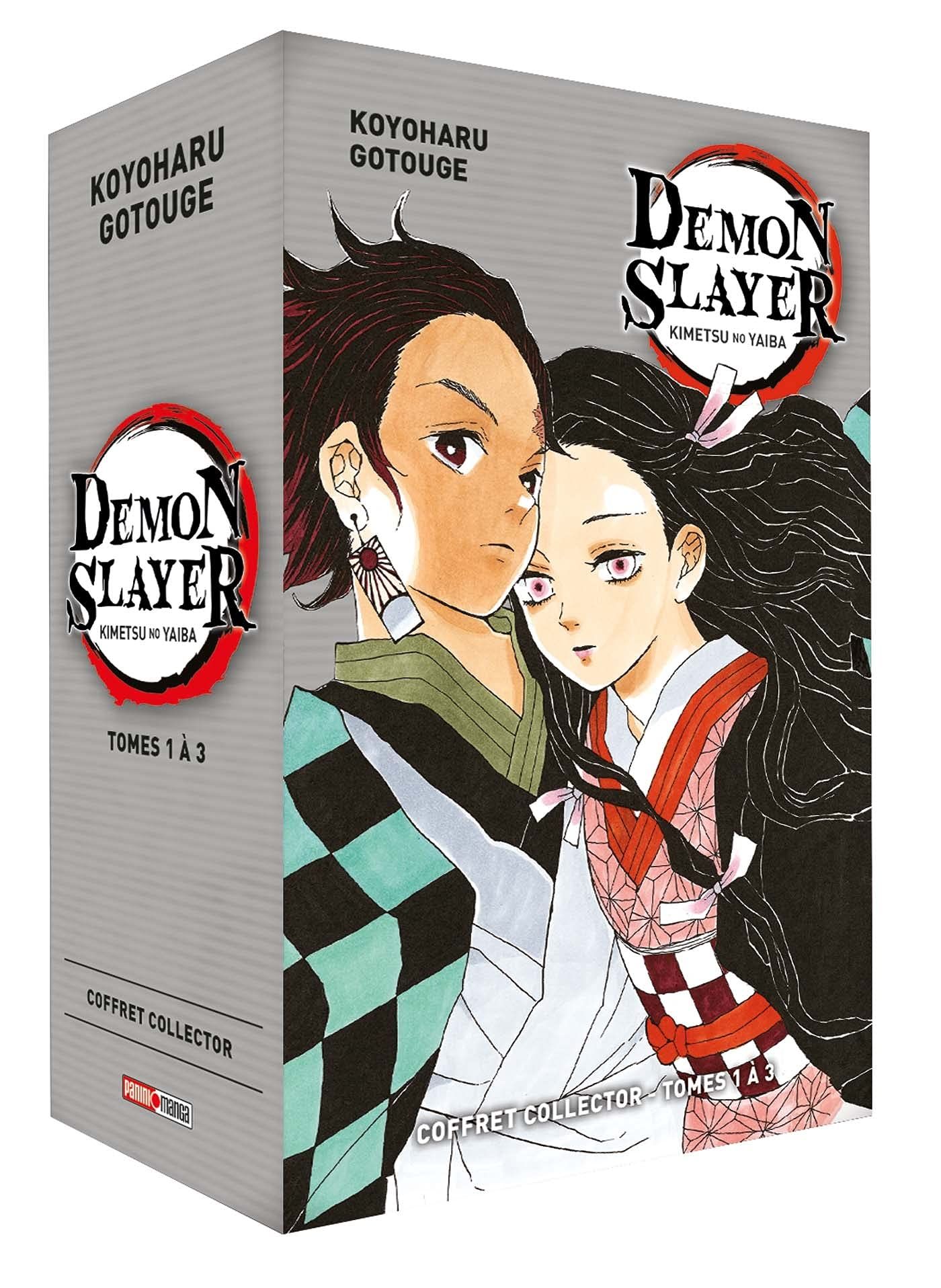 Mangas Demon Slayer Coffrets Collector Canton Vaud 