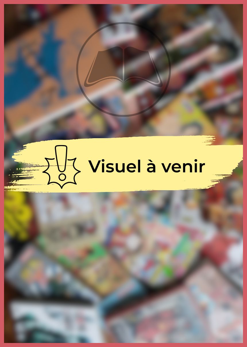 Un comptable à la cour (Roman)