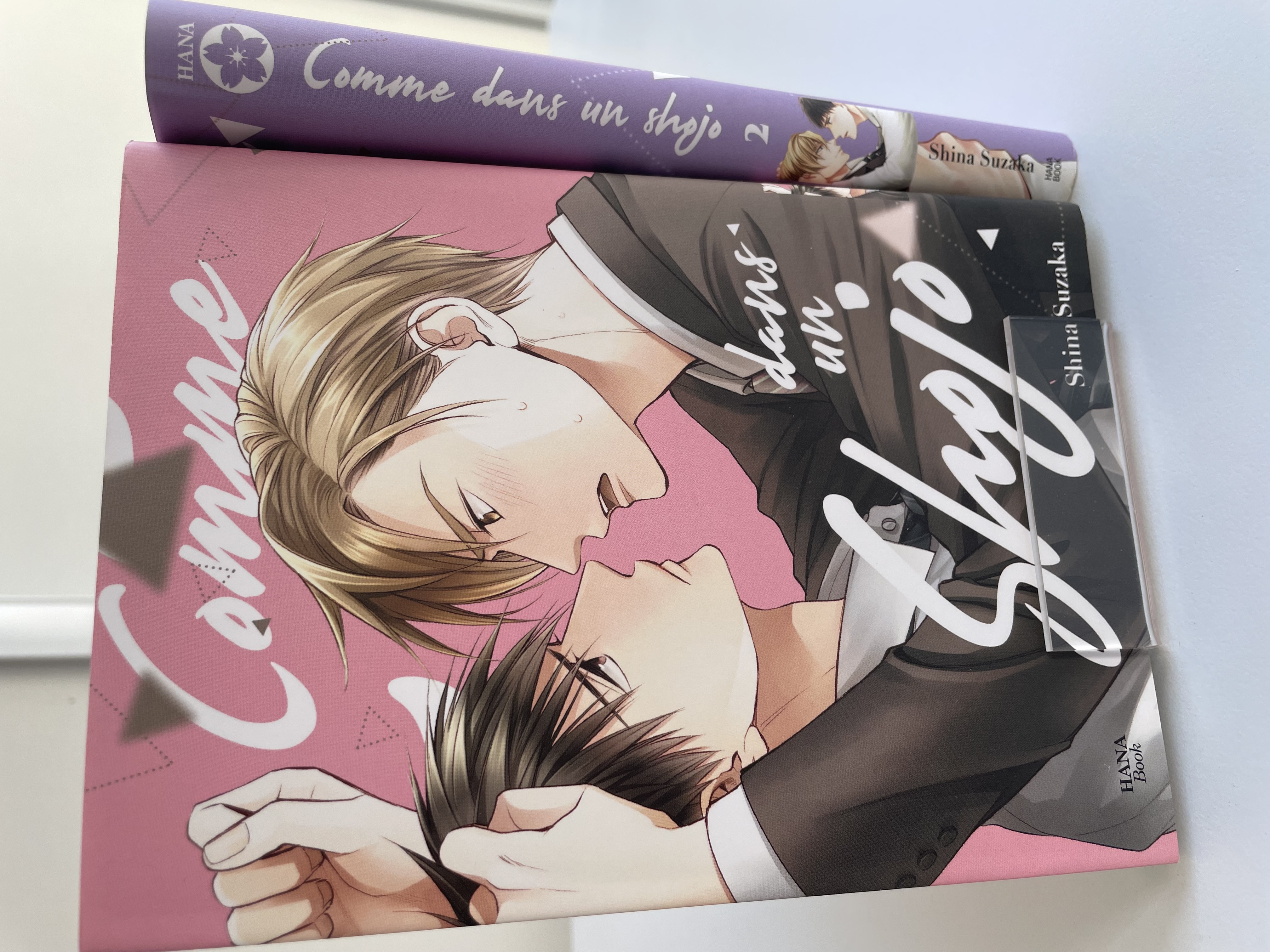 Comme dans un Shojo Intégrale&nbsp;&nbsp;