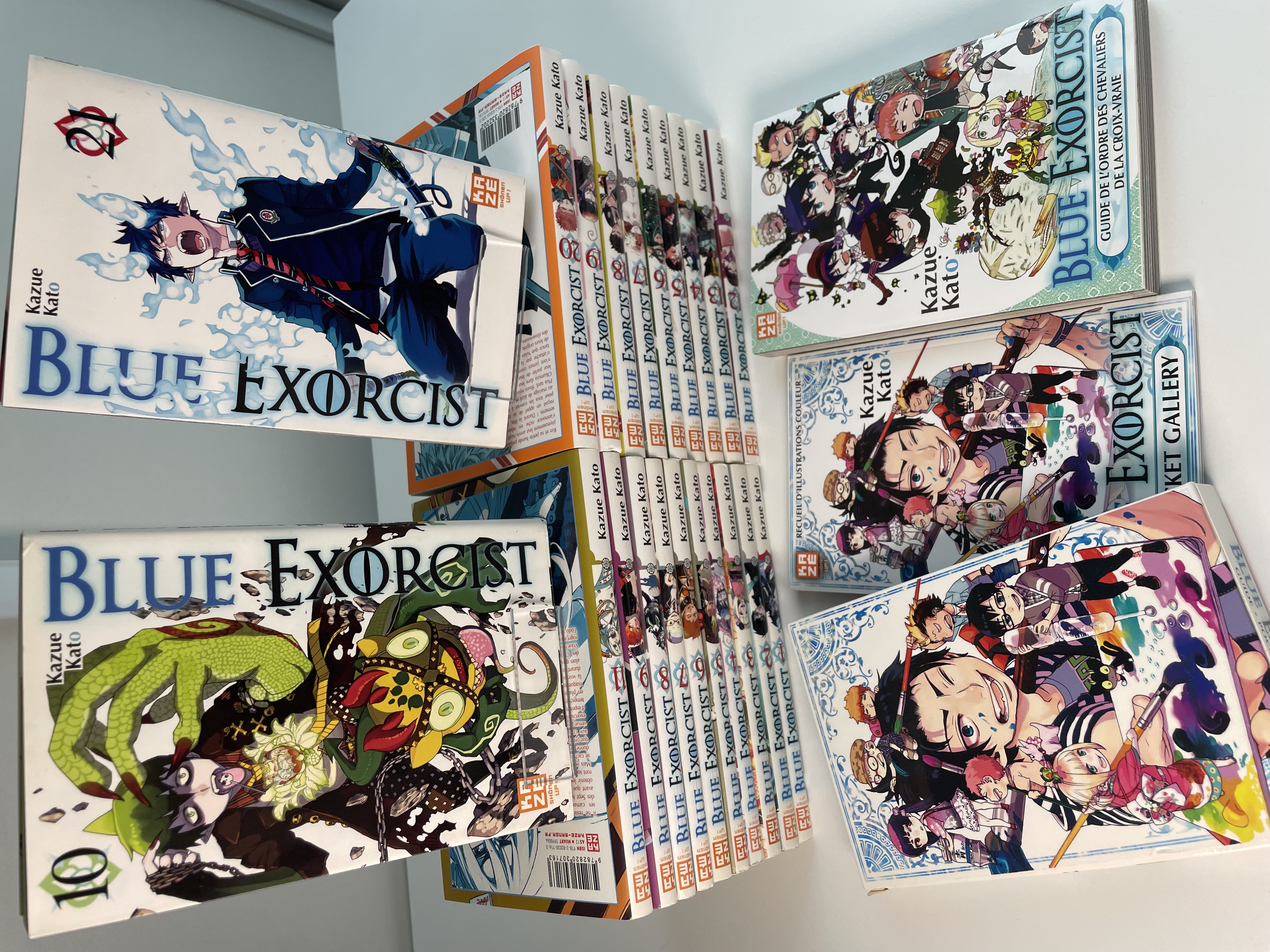 Blue exorcist 1 à 21 avec Roman & Guide / Pocket gallery&nbsp;&nbsp;