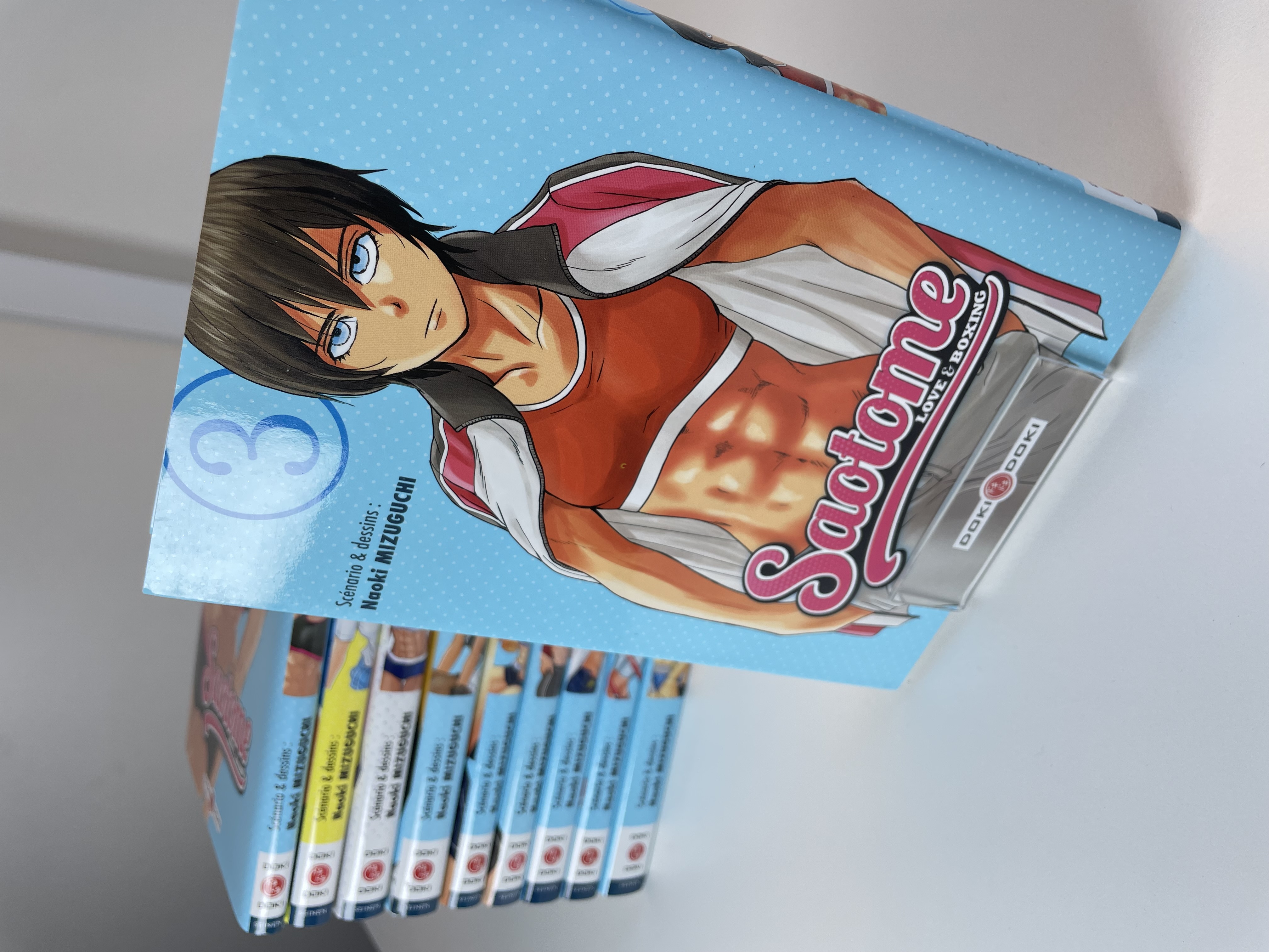 Saotome - Love & Boxing Intégrale&nbsp;&nbsp;