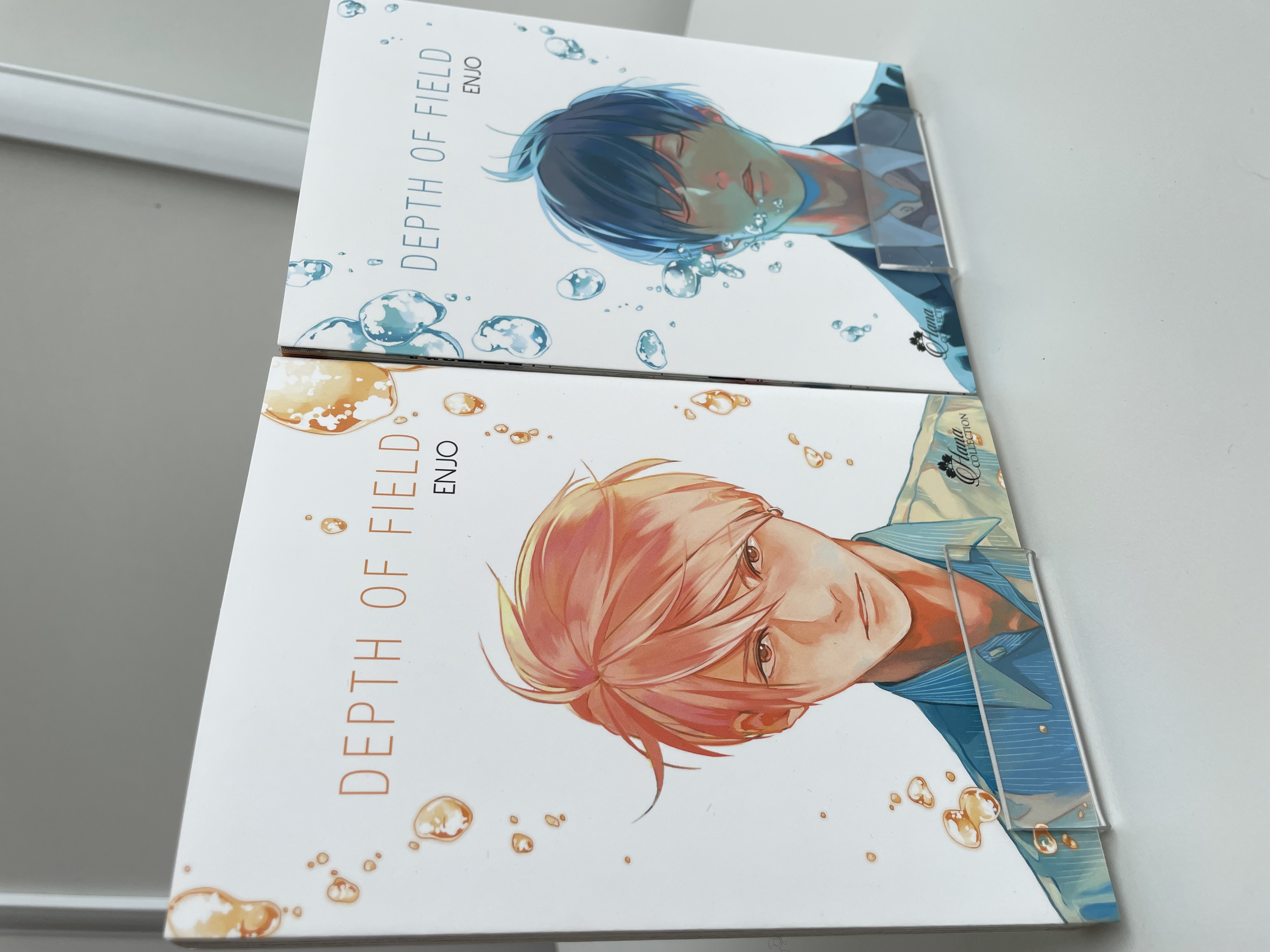 Depth of Field Intégrale&nbsp;&nbsp;